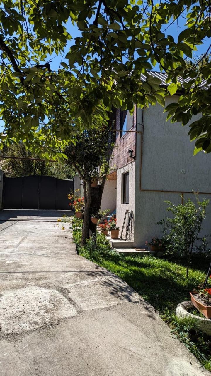 Villa Taripiri Ambrolauri Esterno foto