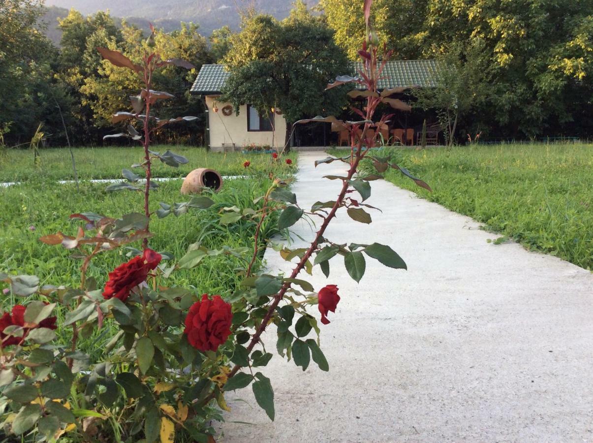 Villa Taripiri Ambrolauri Esterno foto