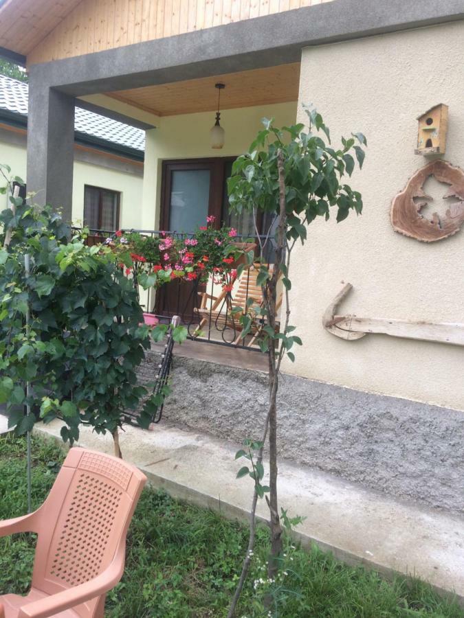 Villa Taripiri Ambrolauri Esterno foto